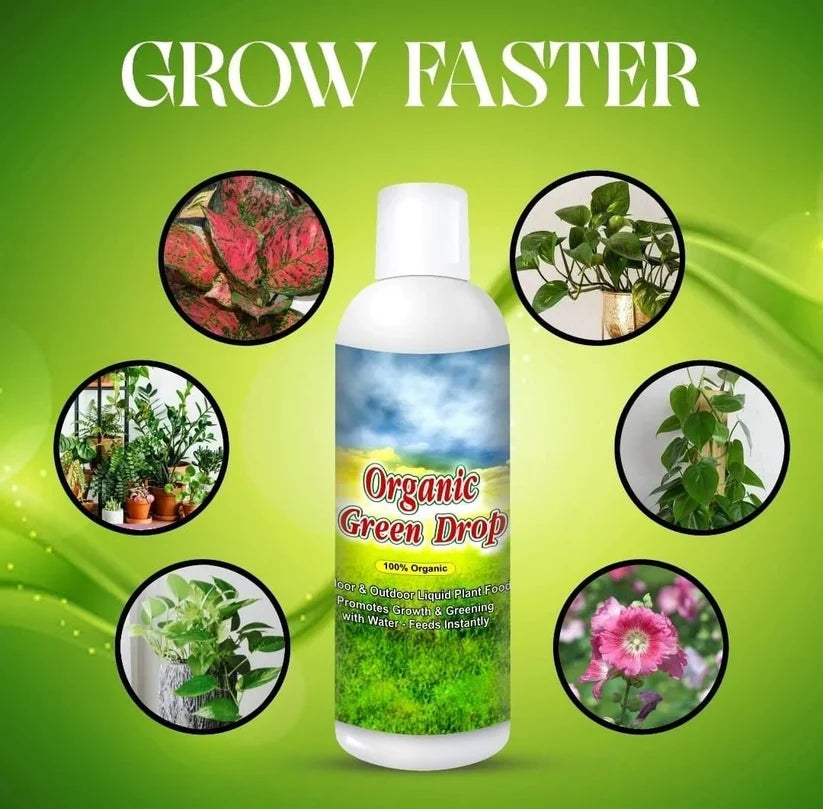 Plant Protection Spray - Buy 1 Get 2 Free