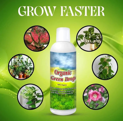 Plant Protection Spray - Buy 1 Get 2 Free