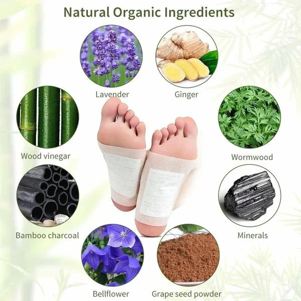 Kinoki body detox foot patch